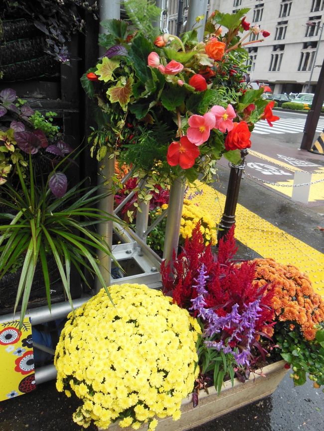 キレイな花が飾られてます