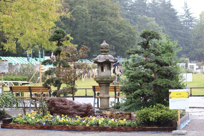 ライフスタイルガーデン部門