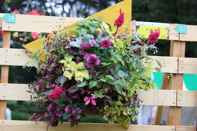 ハンギングバスケット