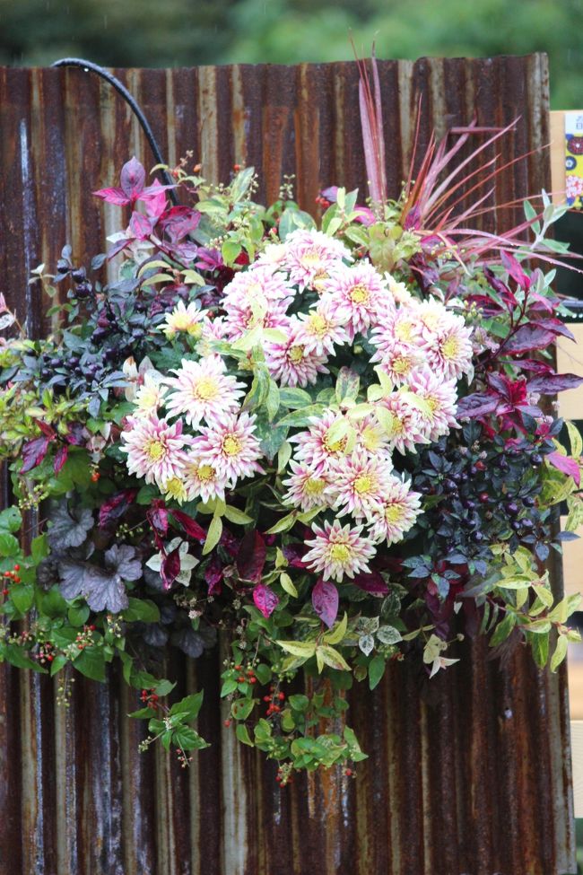 ハンギングバスケット