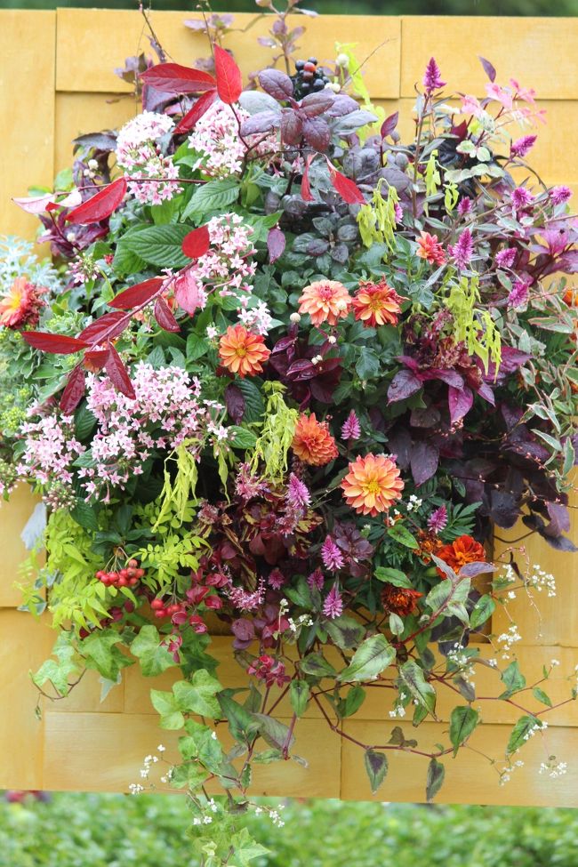 ハンギングバスケット