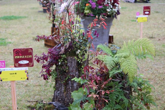 農林水産大臣賞