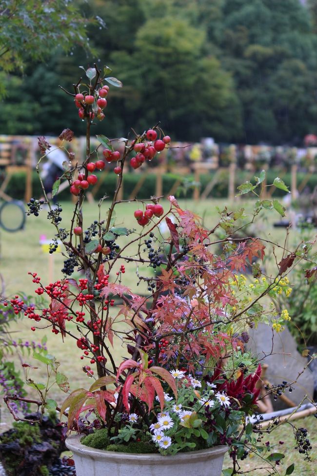 コンテナガーデン部門