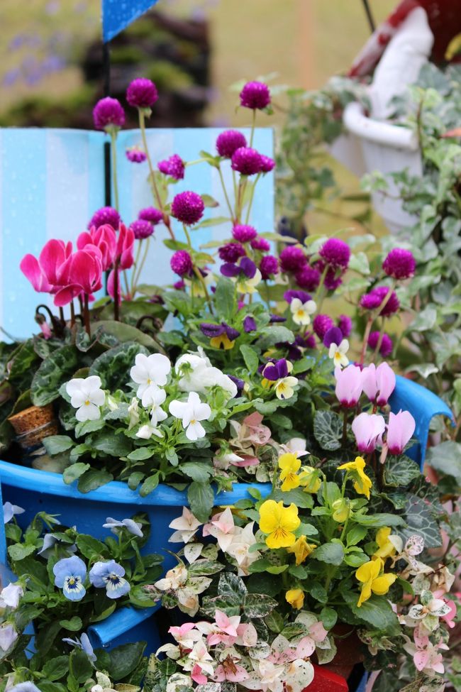 コンテナガーデン部門