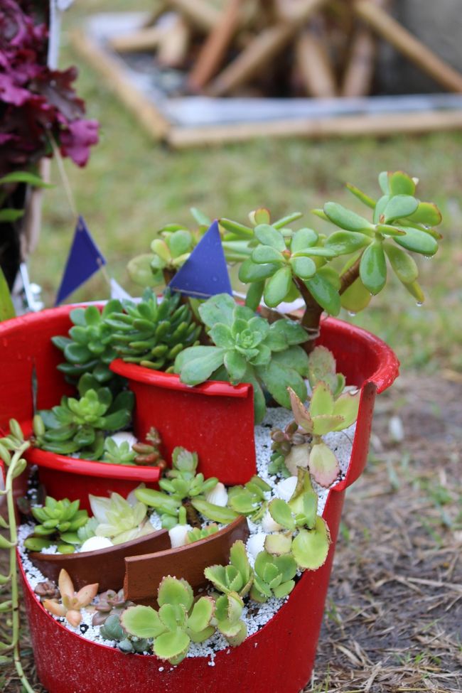 コンテナガーデン部門