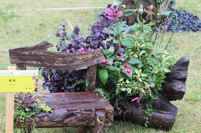 コンテナガーデン部門