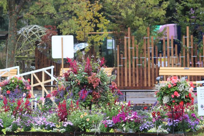 コンテナガーデン部門