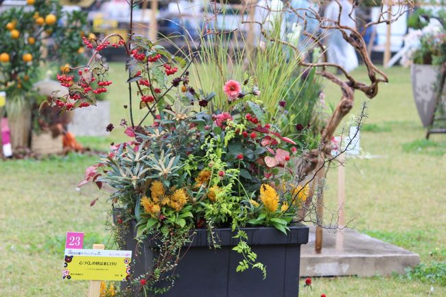 コンテナガーデン部門
