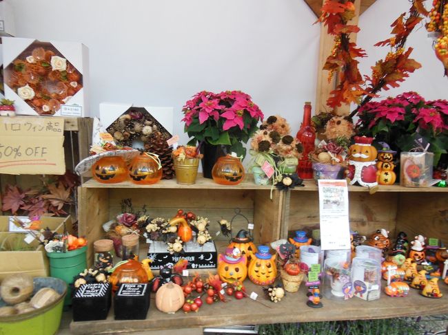 ショップをのぞいたり