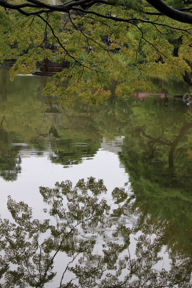 紅葉はまだだね