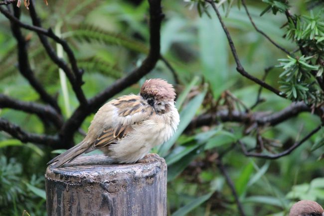 顔が見えませんよ