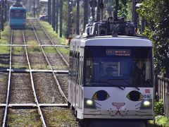 場所を変えて、今度は下高井戸駅近くから
ゆっくりと近付いてくる「幸福の招き猫電車」の可愛らしいお姿が、東急世田谷線ののんびりとした沿線風景と相成ってなんとものどかな風景を形成していましたね
はあ～、とっても癒し～♪