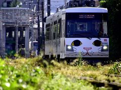 今度は上町駅近くから、東急世田谷線「幸福の招き猫電車」を一枚パチリ☆
そんな微笑ましいニャーさんのお姿ではありますが、実は毎日運行されているわけではないんですよね
確実にお会いするならば事前に運行状況を確認するのが吉なのですが、東急世田谷線の場合は当日にならないと運行スケジュールが分からないのでちょっと注意が必要ですよ