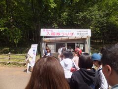 芝桜を見るためには入場料を払って中に入る必要があります。
大人は300円です。