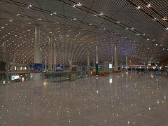 北京首都国際空港に到着。

この時点で世界第二位の搭乗客数です。それでキャパが足りないそうで、南のほうにもう一つ国際空港を作っているとか。どんだけ。

ここはT3-Eというターミナルです。北京首都国際空港の第三ターミナル (3号航站楼)は、さらに T3-C, T3-D, T3-E と三つに分かれています。
ANAのサイトの地図が分かりやすいです。 https://www.ana.co.jp/ja/destination/asia-oceania/pek/airport-map.html?c=bjs#anchor001

このターミナルで入国審査がありますが、撮影禁止なので写真はありません。人が多く、20～30分くらい並んだと思います。入国審査カードの記入項目は日本のものより少なくて楽でした。
審査員さんとの会話はありません。パスポートの写真を照合して、ハンコ押して終わりです。
ちょうど共産党大会の開催中だったので審査が厳しいかと思いましたが、それほどでもありませんでした。