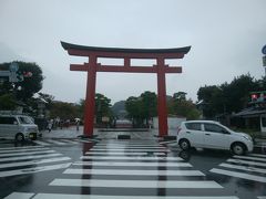 鶴岡八幡宮、到着。
かなりの雨だし寒いしで、あんま写真が撮れない非常事態。