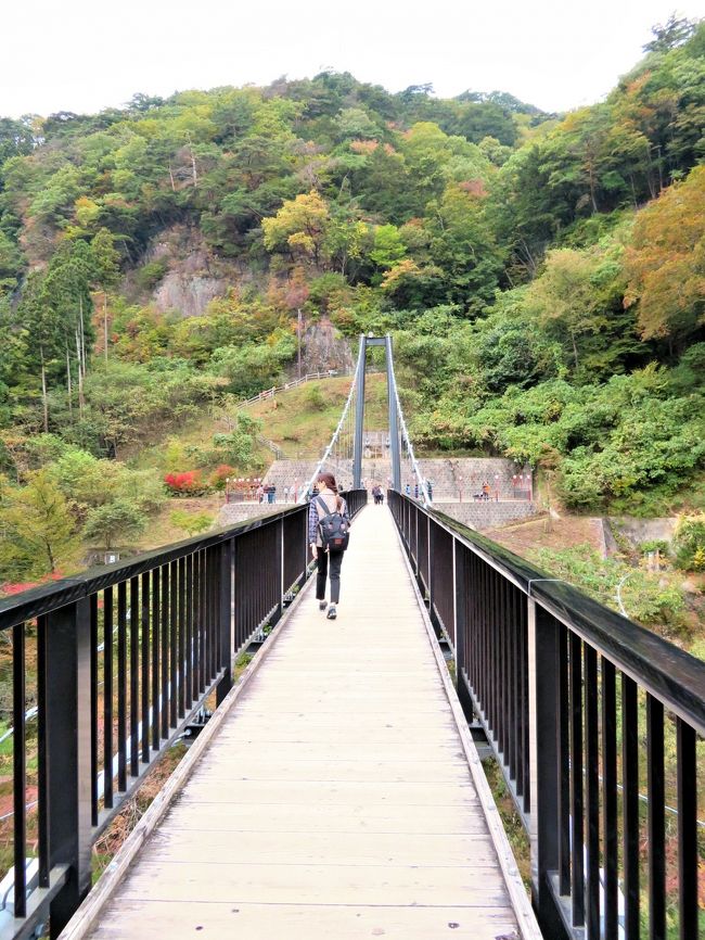 ｓｌ 大樹 復活 始動 日帰りプランで日光鬼怒川へ W 鬼怒川温泉 栃木県 の旅行記 ブログ By ヒサッチ クニさん フォートラベル