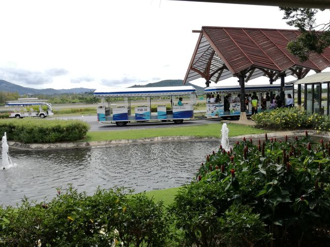 これもサムイ空港名物のミニバス。