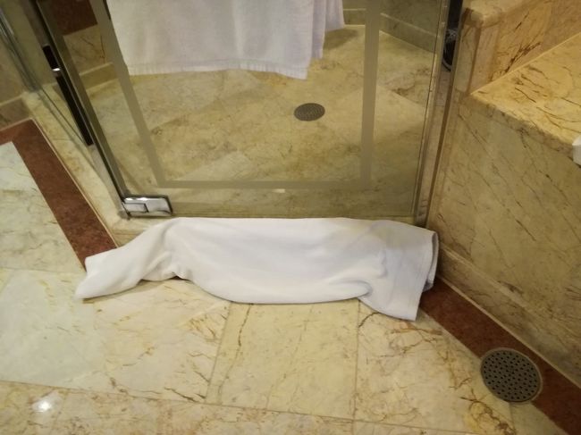 問題だったのが、シャワーブースからの水漏れ。<br />扉の下の隙間が広く、シャワーの水が外に溢れてバスタブ前が池になりました。<br />バスマットで土塁の代わり。<br />ちょっとしたゴム板を貼り付ければ良いのだと思うのだが、それができないレベル。残念……。