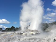 そして間欠泉のテ・プイアへ。
イエローストーンのオールド・フェイスフルは吹き出す予測時間が（忠実に）表示されていたが、こちらは不定期。気分屋っぽい。
公園内にはマオリ族の家なども展示されている。