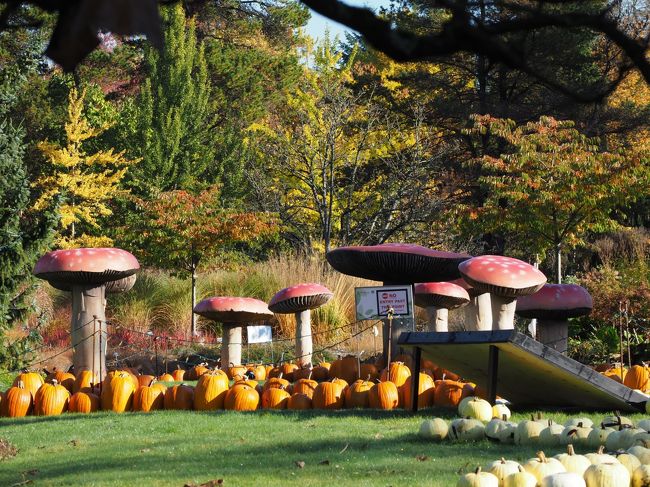 ハロウィーン バンデューセン植物園 紅葉と不思議の国のアリス バンクーバー カナダ の旅行記 ブログ By Ellieさん フォートラベル