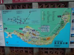 次の日は美ら海水族館へ。