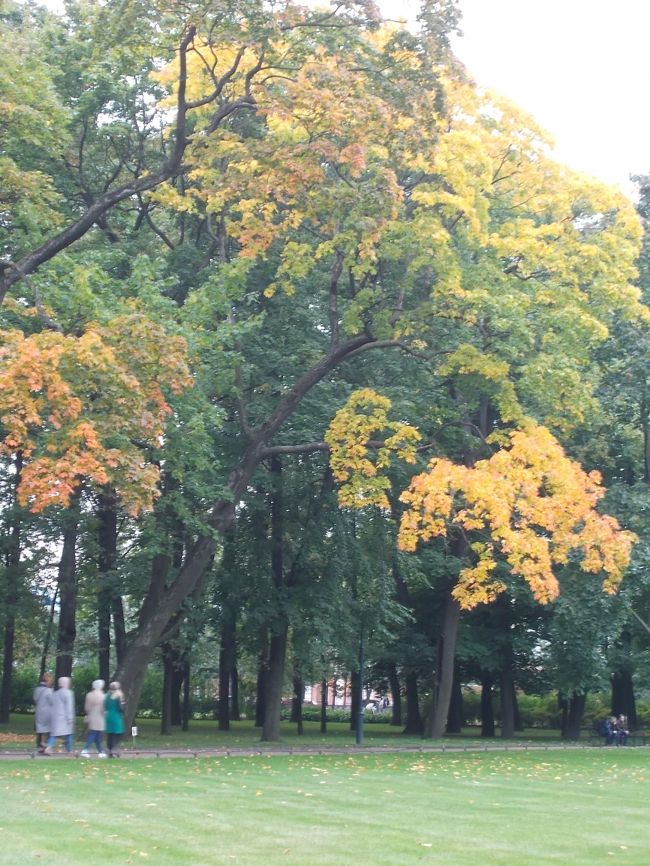 ロシア・・・では、　「日本みたい！な　真っ赤。な　紅葉」は　とても、少なくて、　<br />「黄色い！　黄葉ばかり」と　なります。<br /><br />そんな・・・　「黄葉シーズン」は、　例年は、今頃。　の　はず・・・が、　<br />今年は、　遅れているんだそう。<br />「緑・・・の　中。に、　黄葉」が　見え隠れ。<br /><br />郊外を　ドライブすれば、　森は、　もっと　黄色み！を　帯びて<br />「黄葉・・・の　ロシア」を　知るコト！が　出来ます。　