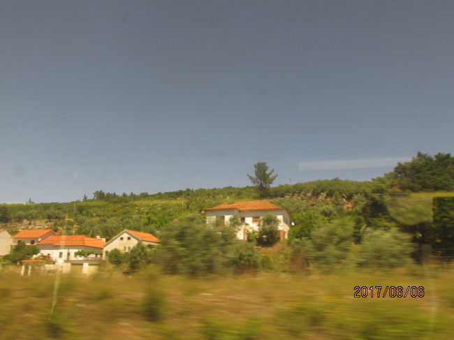 皆、所得の高そうな住宅が続く。