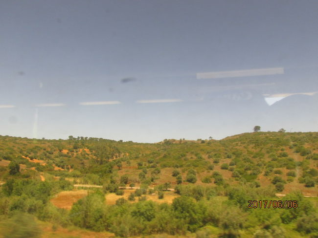 丘陵地には果樹園が広がっている。