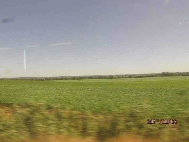 館外が行き届いているのか、緑の丘が広がっている。