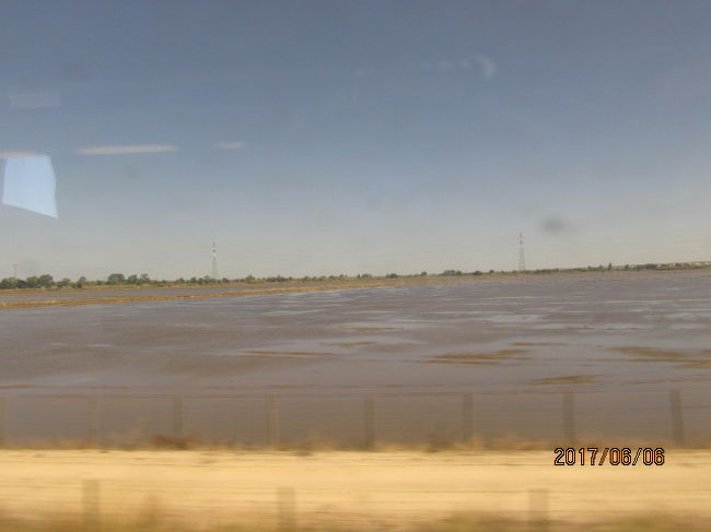 ああ、このシートは何を栽培してるのだろう。