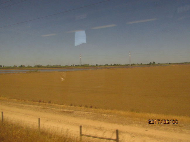 広い土地で、地味は越えているようだ。