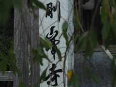 まずは総門である大門から見ようと
中心部から端っこへ向かいます。

歩き始めでさっそく金剛峯寺が！
後で戻ってくるからと
今はささっと通り過ぎます。