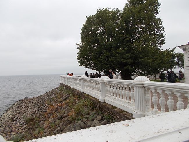 『　ペテルゴフ　』　の　敷地・・・より、　フィンランド湾を　望む。<br />ピョートル大帝が、「ヨーロッパ！の　強国に　並ぶんだ」の　想い。が<br />伝わる。<br /><br />バルト海！の　スグ・・・　向こう。には、<br />ヨーロッパ　「フィンランド国」が　存在する。<br /><br />事実、「サンクトペテルブルク」の　中心部！に　入ってくる　<br />高速列車に　乗ってしまえば、<br />「フィンランド　ヘルシンキ」まで・・は、　わずか！　３時間半。<br /><br />一方、　「サンクトペテルブルク」から　高速列車で<br />「モスクワ」まで・・・　４時間。<br /><br />外国・・・の　北欧　「フィンランド」の方が、　近い。<br />に　「驚いて・・・しまいますよね」。　（笑）<br />ーーーーーーーーーーーーーーーー<br />「噴水巡り！も　そろそろ・・・　終り」です。