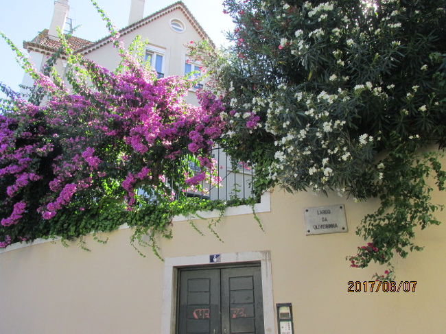 市内の賑やかな通りを抜けて、高台の住宅地の中に今晩のホテルがあった。