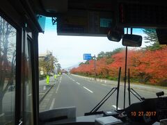 弘前公園の紅葉。