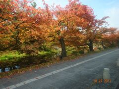 弘前城の「紅葉」。