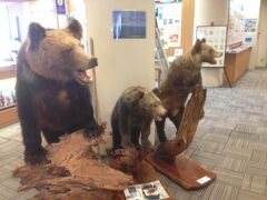 支笏湖ビジターセンターにやってきました。
入口から入ると、すぐにクマさんの歓迎にビビります。
