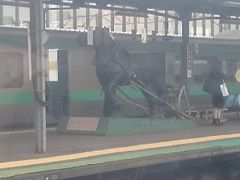 札幌駅を出て、岩見沢に着きました。
ばんえい競馬の像がホームに置いてありましたのでパチリ(O_o)