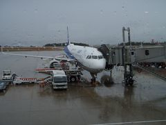 朝７時のＡＮＡ便で広島空港へ。あいにくの雨。