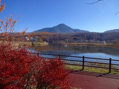 女神湖からしばらく車を走らせると、白樺湖に到着します。

この湖は周囲約3.8キロメートル、面積約36ヘクタールの、これも人造湖だそうです。

湖面標高は1,416メートルとのことですから涼しいを通り越してやや寒いくらいです。