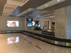 機長さんの素晴らしい技術で無事に到着。
機内は割れんばかりの大拍手。
着地の瞬間は手に汗握る大迫力。
娘も孫をしっかりと抱いて無事着陸。
飛行機から降りた後は、荷物を取りに空港内を移動します。