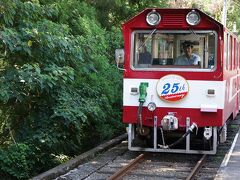 千頭よりさらに北上する南アルプスあぷとライン に、寸又峡温泉から千頭行きのバスを途中で降りて、奥泉駅からトロッコ列車に乗車する。