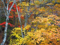 西沢渓谷は紅葉が見頃で、ハイキング客で混んでいました。
できれば平日に来た方が自分のペースで歩けていいかもしれません。
ハイキングコースとしては川沿いのいいコースでした。ハイキング後に窪平温泉 花かげの湯に寄って帰りました。
