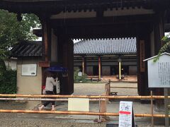 元興寺　さるさわ池をはさんで北の興福寺、南の元興寺と平城京左京（外京）の台地に広大な寺地と伽藍を有した。平安遷都後も、この外京と東大寺、春日社一帯は南都の中心地であった。

　南都七大寺の1つに数えられる寺院。蘇我馬子が飛鳥に建立した、日本最古の本格的仏教寺院である法興寺がその前身である。