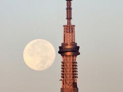 2017年11月05日06時27分

昨夜は満月、朝日に輝くスカイツリーとのコラボ