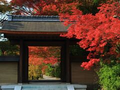 11：00　圓成寺（えんじょうじ）

庭園は名勝、楼門と本堂は国の重要文化財。


9：00～17：00
大人/400円
駐車場/無料