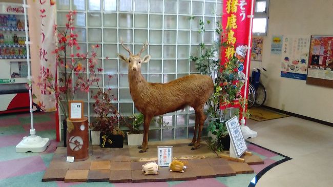 兵庫県で一足早く紅葉見学に出かけてきました 宍粟 兵庫県 の旅行記 ブログ By 旅好き長さんさん フォートラベル 兵庫県で一足早く紅葉見学に出かけてきました 宍粟 兵庫県 の旅行記 ブログ By 旅好き長さんさん フォートラベル
