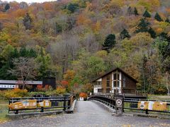 既に紅葉は終わっていました。