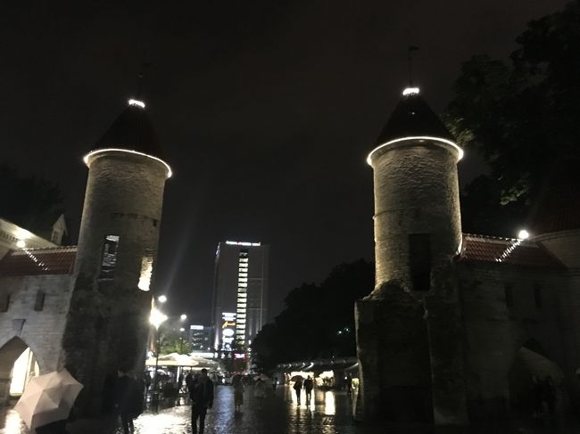 夜のＶｉｒｕ門。<br />ライトアップされてきれい。